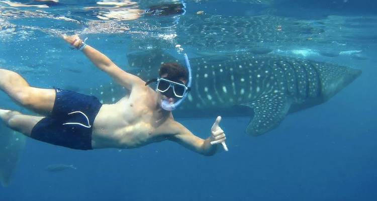 Oslob Whale Shark Watching, Tumalog Falls and Kawasan Canyoneering with Island Hopping (without accommodation) - Mcrich Travel and Tours 3