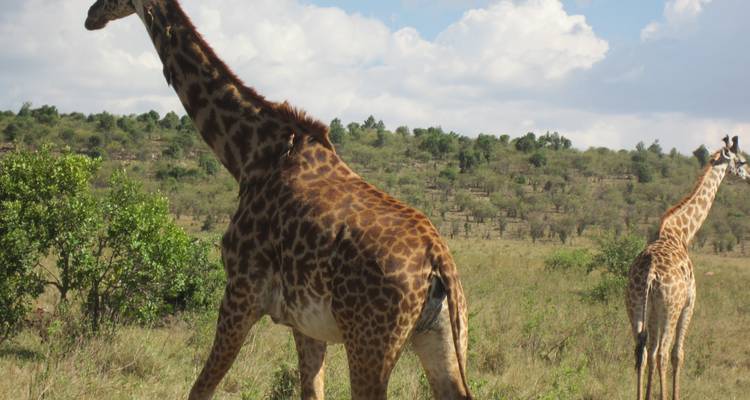 6 jours de safari en camping en Tanzanie - Exciting Africa Holidays 3