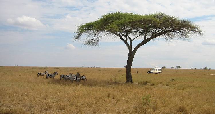 6 jours de safari en camping en Tanzanie - Exciting Africa Holidays 7