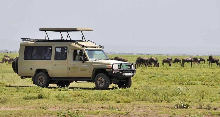 6 Days Tanzania Budget  Camping  Safari - Exciting Africa Holidays 9