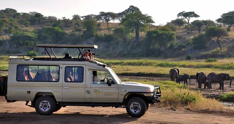 6 Days Tanzania Budget  Camping  Safari - Exciting Africa Holidays 10