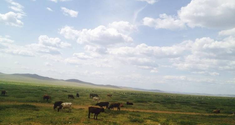 Xandu Central Mongolian Highlights - Xanadu Travel Mongolia 9