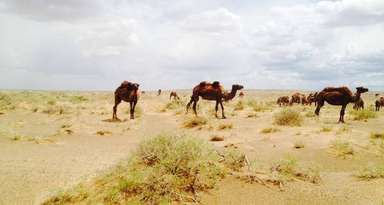 Xandu Central Mongolian Highlights - Xanadu Travel Mongolia 4