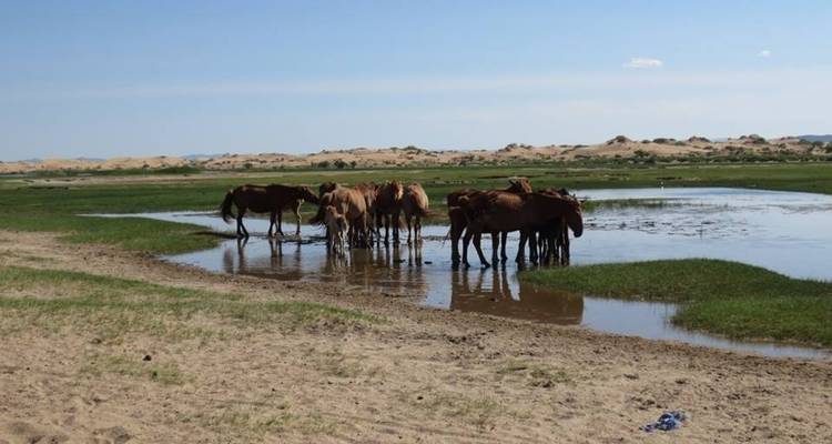 Xanadu Khovsgol Lake-Blue Pearl of Mongolia - Xanadu Travel Mongolia 6
