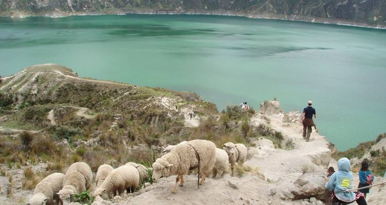 Circuit d'aventure privé de 3 jours au volcan Cotopaxi, à la lagune Quilotoa et à Baños - Latin Adventures 1