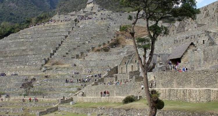 Touristen erkunden die Steinterrassen von Machu Picchu.