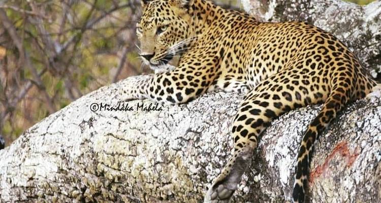 Nature Vie sauvage Aventure - New Elegance Lanka Tours and Leisure 6