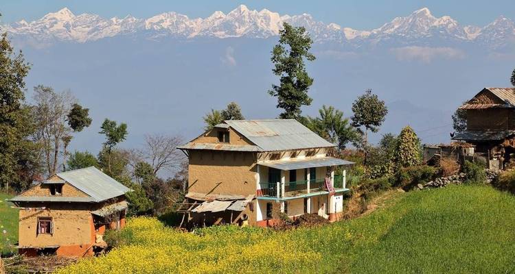 Rustieke dorpshuizen tussen gele mosterdvelden met de imposante sneeuwbedekte Himalaya op de achtergrond.