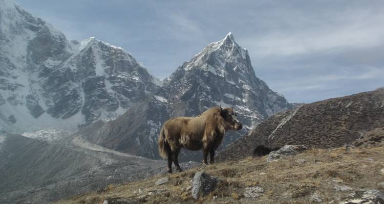 Everest Base Camp Trek - First Environmental Trekking 4