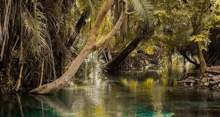 Materuni waterfalls, Coffee tour & kikuletwa Hot Springs - 1 Day - Safari Soles tours 3