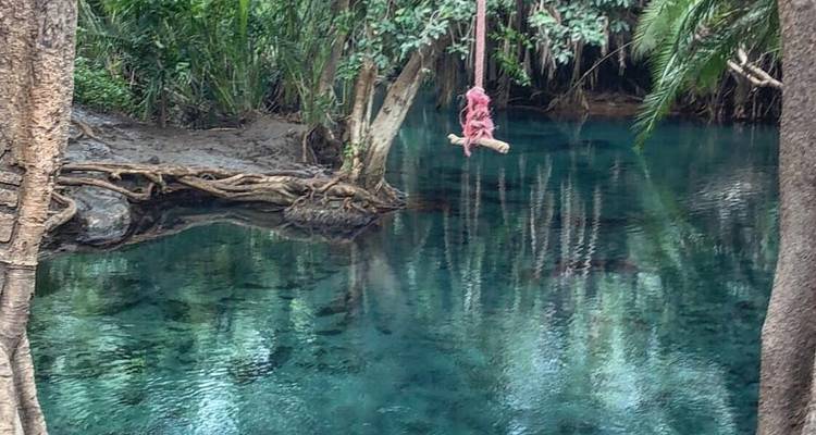Materuni waterfalls, Coffee tour & kikuletwa Hot Springs - 1 Day - Safari Soles tours 4