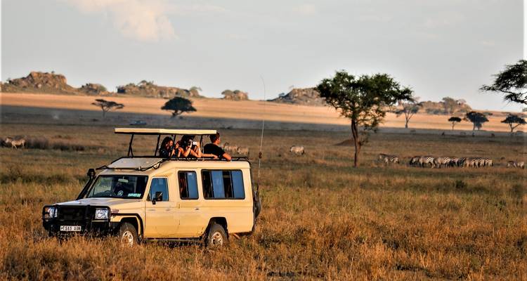 Safari de los Cinco Grandes en Tanzania-6Días - Lights on Africa Destinations & Safaris 9