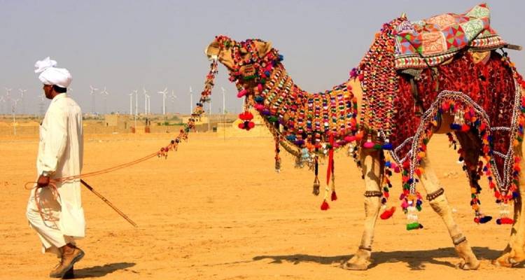 Rajasthan Tour Package - Volunteering With India 4