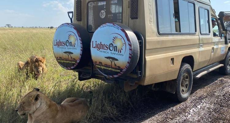La gran migración de ñus del Serengeti Travesía del río Mara - Lights on Africa Destinations & Safaris 8