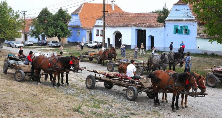 Traditional horse-drawn carts in a village setting.
