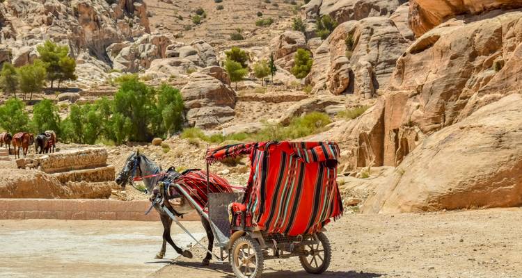 Jordan Classical, 4 days. - Bein Harim Tourism Services  9