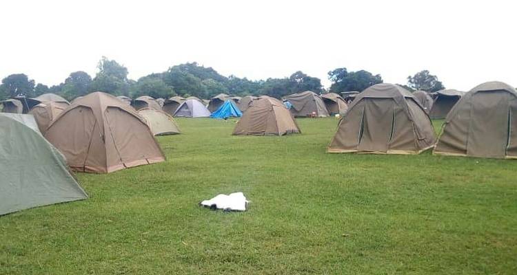 Grassy field with numerous camping tents.