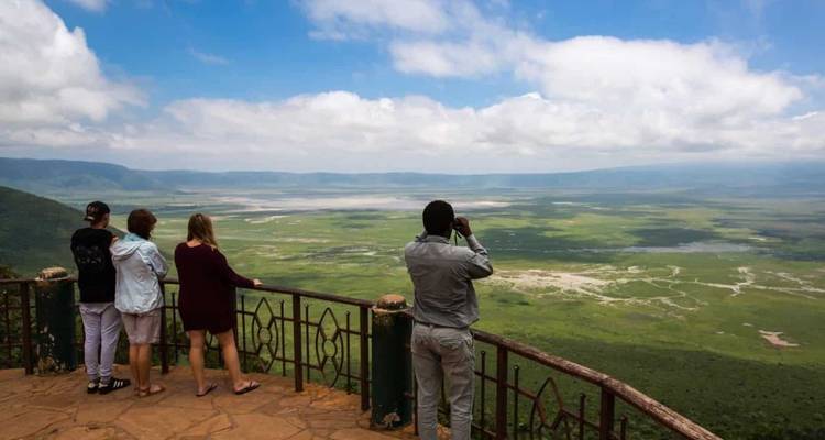 Tourists viewing a vast green landscape from a viewpoint.