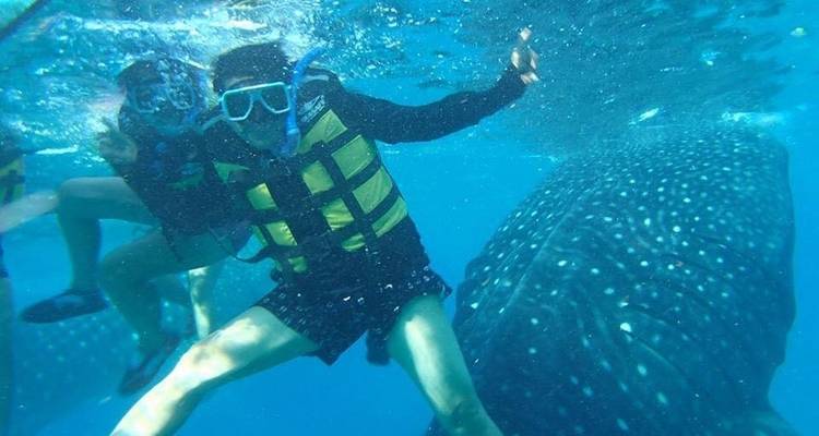 Tour de ville + Observation des requins baleines d'Oslob + Canyoning des chutes de Kawasan + Visite de l'île de Moalboal - sans hébergement - Mcrich Travel and Tours 2