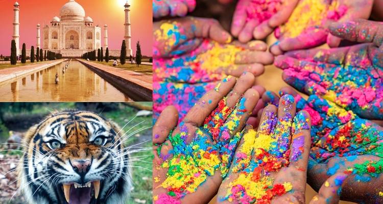 6 Day Golden Triangle Tour with Ranthambore - Tigers and Taj Mahal Sunrise/Sunset - Wonderful Holidays 6