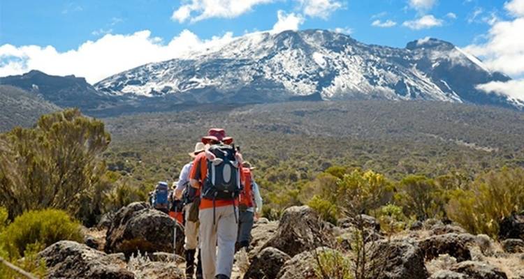 Hikers with backpacks on a rocky path with a snowy mountain backdrop.