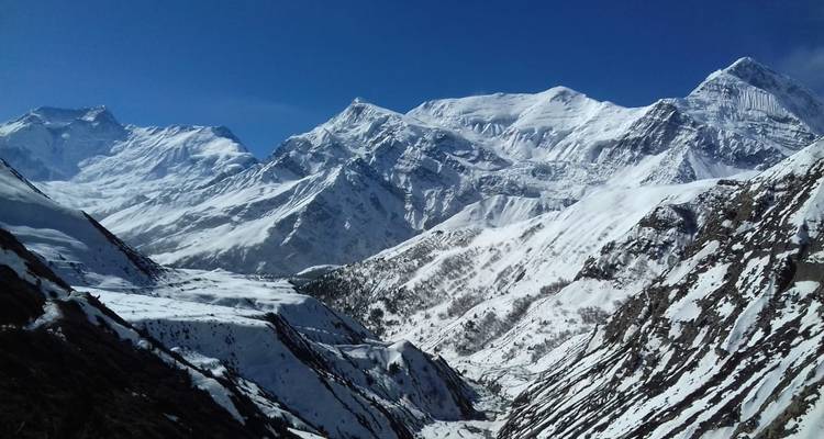 Circuito del Annapurna - 8 días - White Hill Adventure Treks and Expedition Pvt Ltd 4