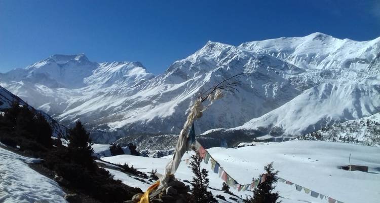 Circuito del Annapurna - 8 días - White Hill Adventure Treks and Expedition Pvt Ltd 6