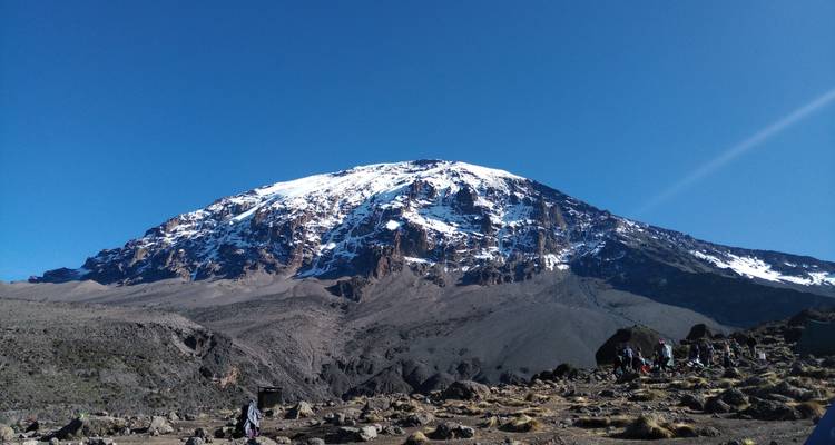 Ruta Lemosho - con cráter - 8 días - Kilisa Tours & Safaris 2