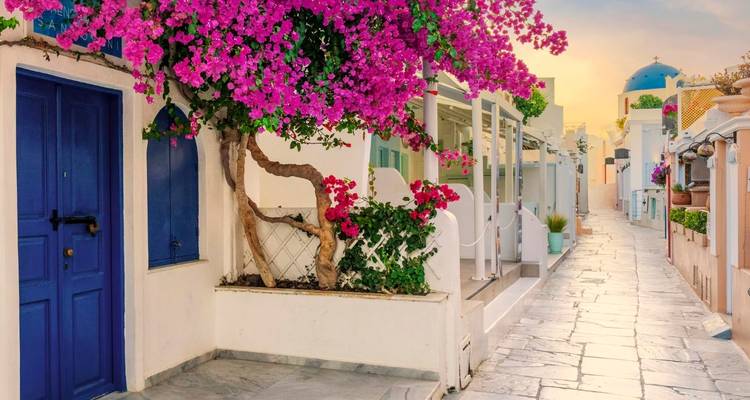 Callejón pintoresco en Santorini, Grecia con flores y características cúpulas azules.