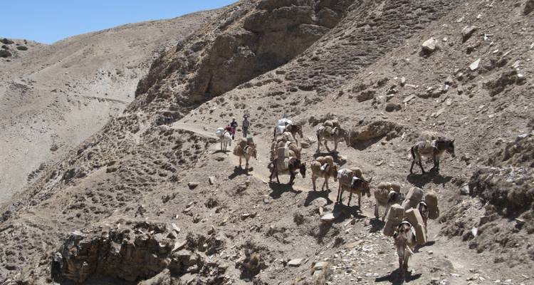 Trek du Haut Dolpa - First Environmental Trekking 8