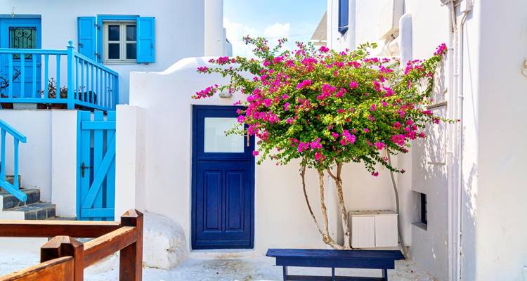 Edificios blancos con detalles azul brillante y un árbol florecido.