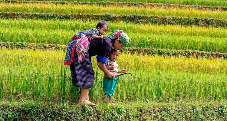 11 jours Meilleur Vietnam de Hanoi - Baie d'Halong - Sapa - Hoi An et Delta du Mékong à Ho Chi Minh ville - Vietnam Real Tour 1