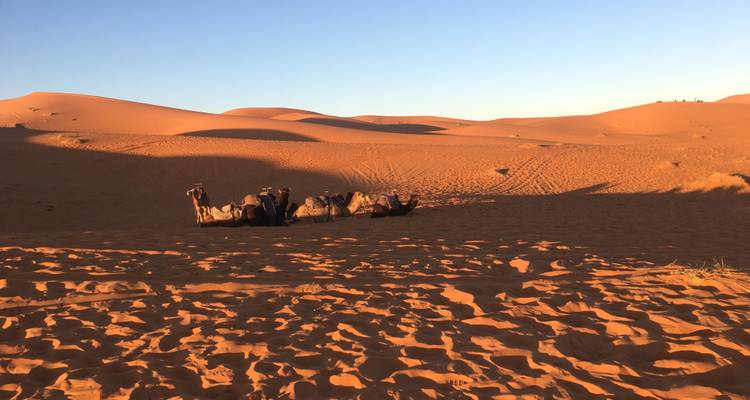 Circuito privado de 3 días por el desierto - Marrakech Tour 4