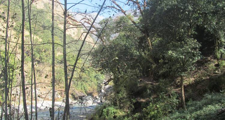 Trek du Langtang - 11 jours - Eco Holidays Nepal 6