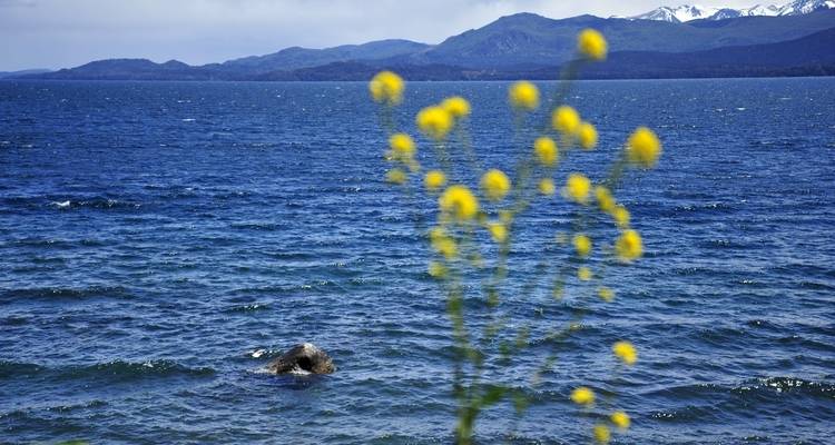 ¡Escapada de 10 noches al país de los Lagos y las Leyendas! - Trips SouthAmerica 2