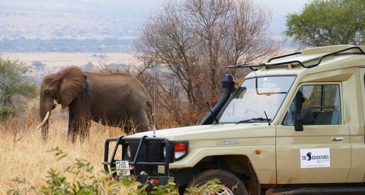 Safari vehicle alongside an elephant in an open landscape.
