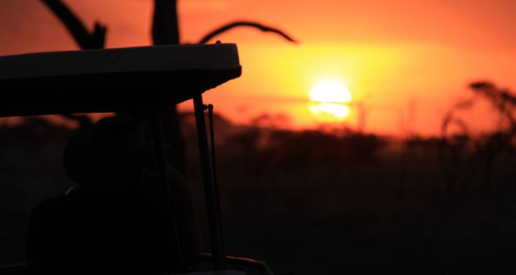 Sunset with silhouette of safari vehicle and Acacia trees.