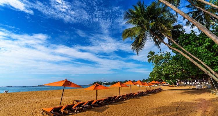 Viajes de lujo en Sri Lanka - Koon Holidays (Pvt) Ltd 7