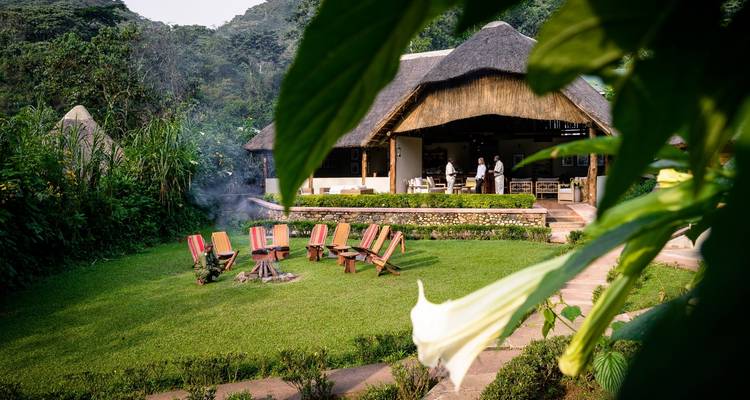 Safari de 11 días descubre Uganda occidental - Ovacado Adventures 2