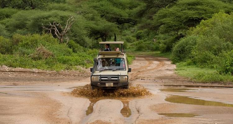 Safari de 4 días en lodge de lujo en Tanzania - Muraa African Safaris 9