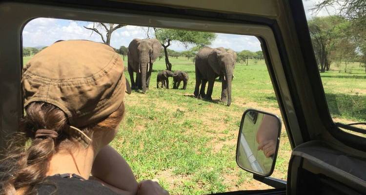 Safari de 4 días en lodge de lujo en Tanzania - Muraa African Safaris 8