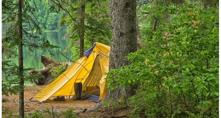 Excursion en canot de 5 jours dans le parc Algonquin - aller simple - Voyageur Quest 2