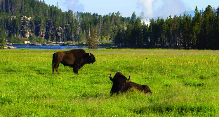 National Parks of America  (Scottsdale, AZ to Rapid City, SD) (2024) - Collette 8