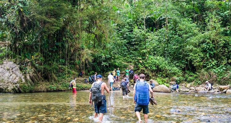 Personas vadeando a través de un río poco profundo en una zona boscosa.