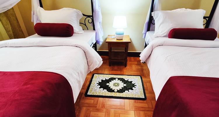 Ascension Kilimanjaro- Marangu 6 jours + Chemka Hot Springs gratuit | Guides experts & Eco-Certifié - World Adventure Tours 9
