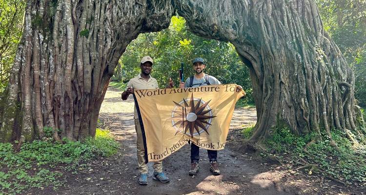 Ascension Kilimanjaro- Marangu 6 jours + Chemka Hot Springs gratuit | Guides experts & Eco-Certifié - World Adventure Tours 6