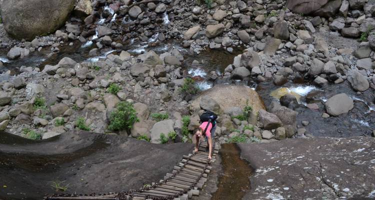 Incroyable safari en Afrique du Sud et d'aventure dans le Drakensberg - 9 jours - Endless Summer Tours 8
