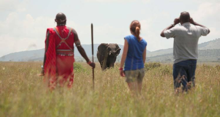 Migración clásica de lujo al Masai Mara con Mara Engai - Classic Journeys Africa Ltd 2