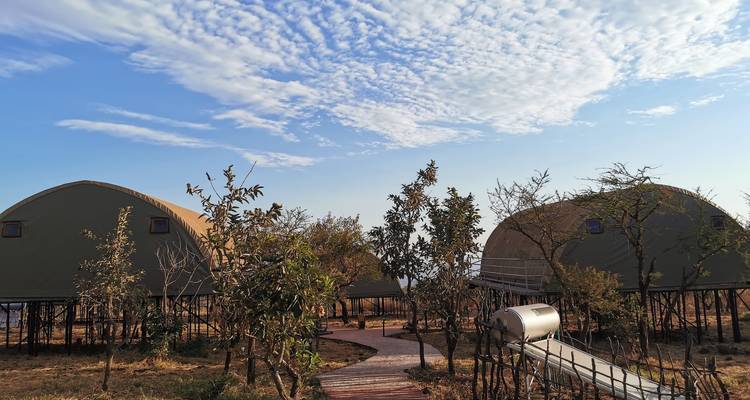 Safari privé du meilleur de la Tanzanie** Départ tous les jours** Approche durable du voyage, certifiée Travelife - World Adventure Tours 7