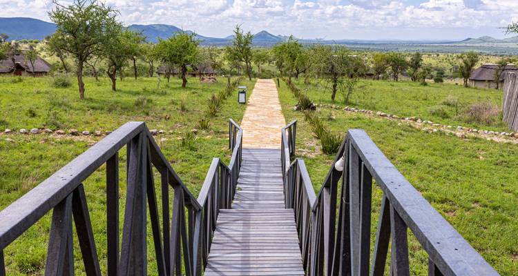 Safari privé du meilleur de la Tanzanie** Départ tous les jours** Approche durable du voyage, certifiée Travelife - World Adventure Tours 8